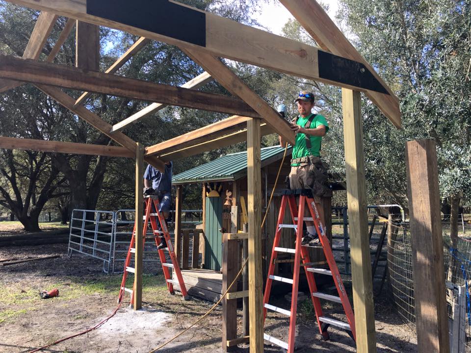 Carpenters building a wood pergola frame from ladders