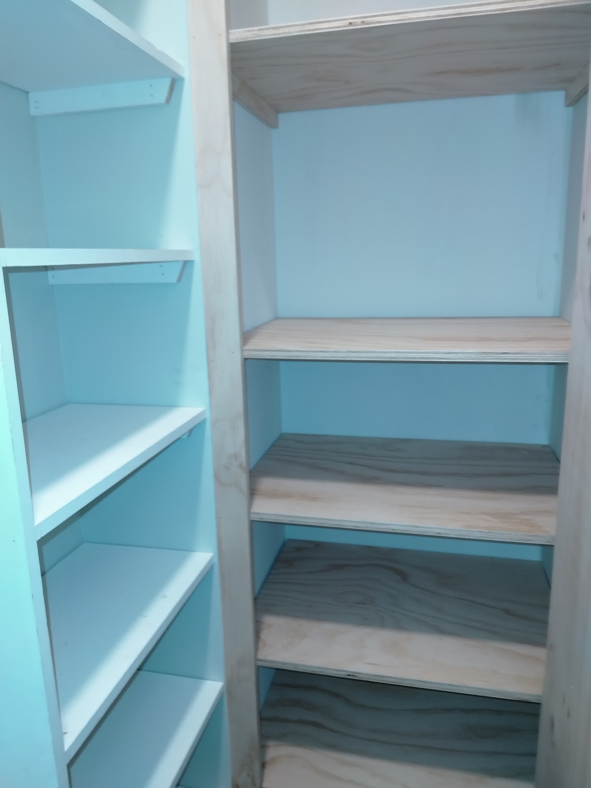 Built-in pantry with new plywood shelving